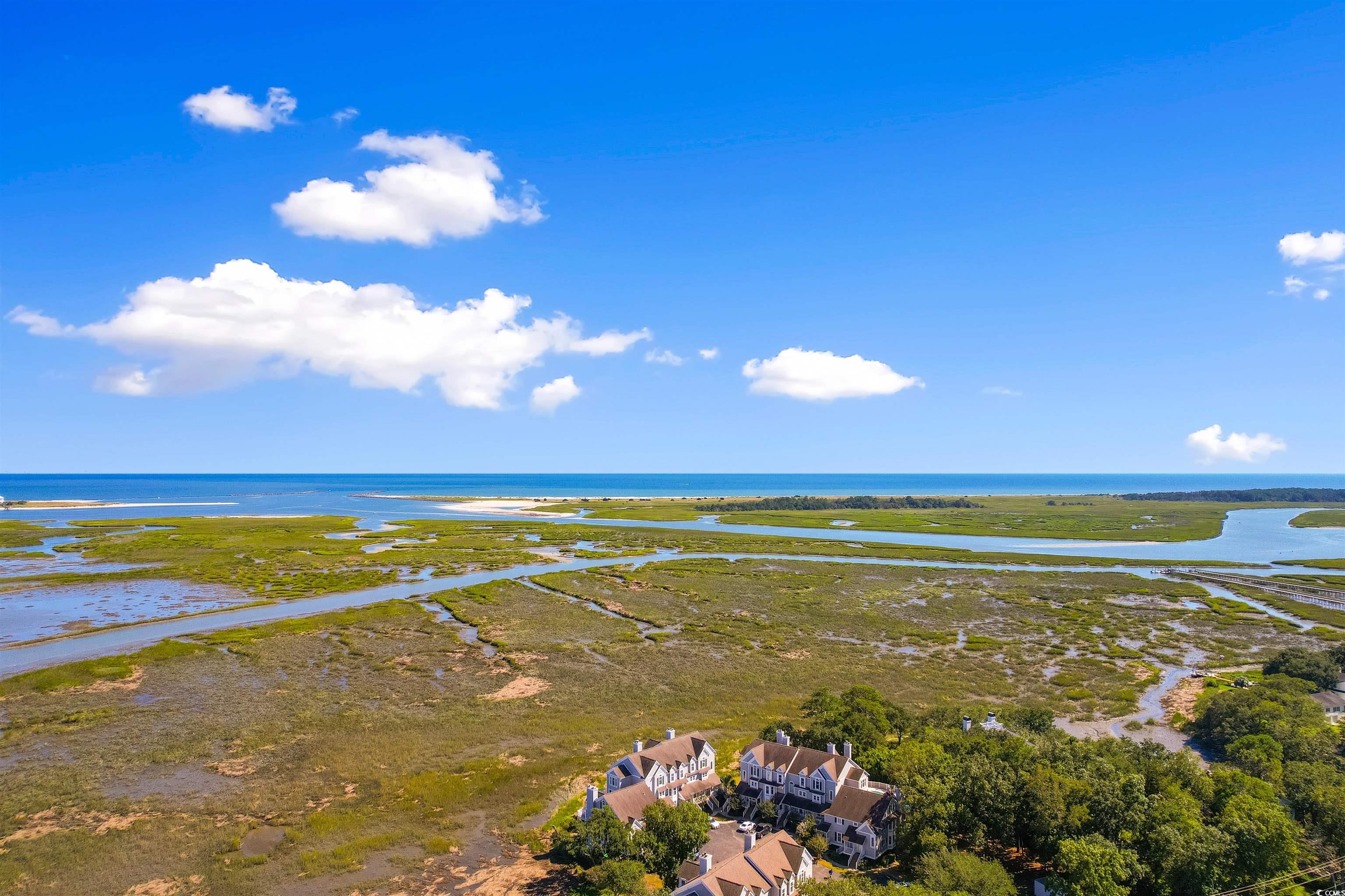 4999 Highway 17 Business, Unit 308E Murrells Inlet, SC 29576 - Photo 31 of 40 Aerial view with a water view