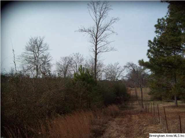 New Prospect Church Road, Unit 16 Horton, AL 35980 - Photo 3 of 20