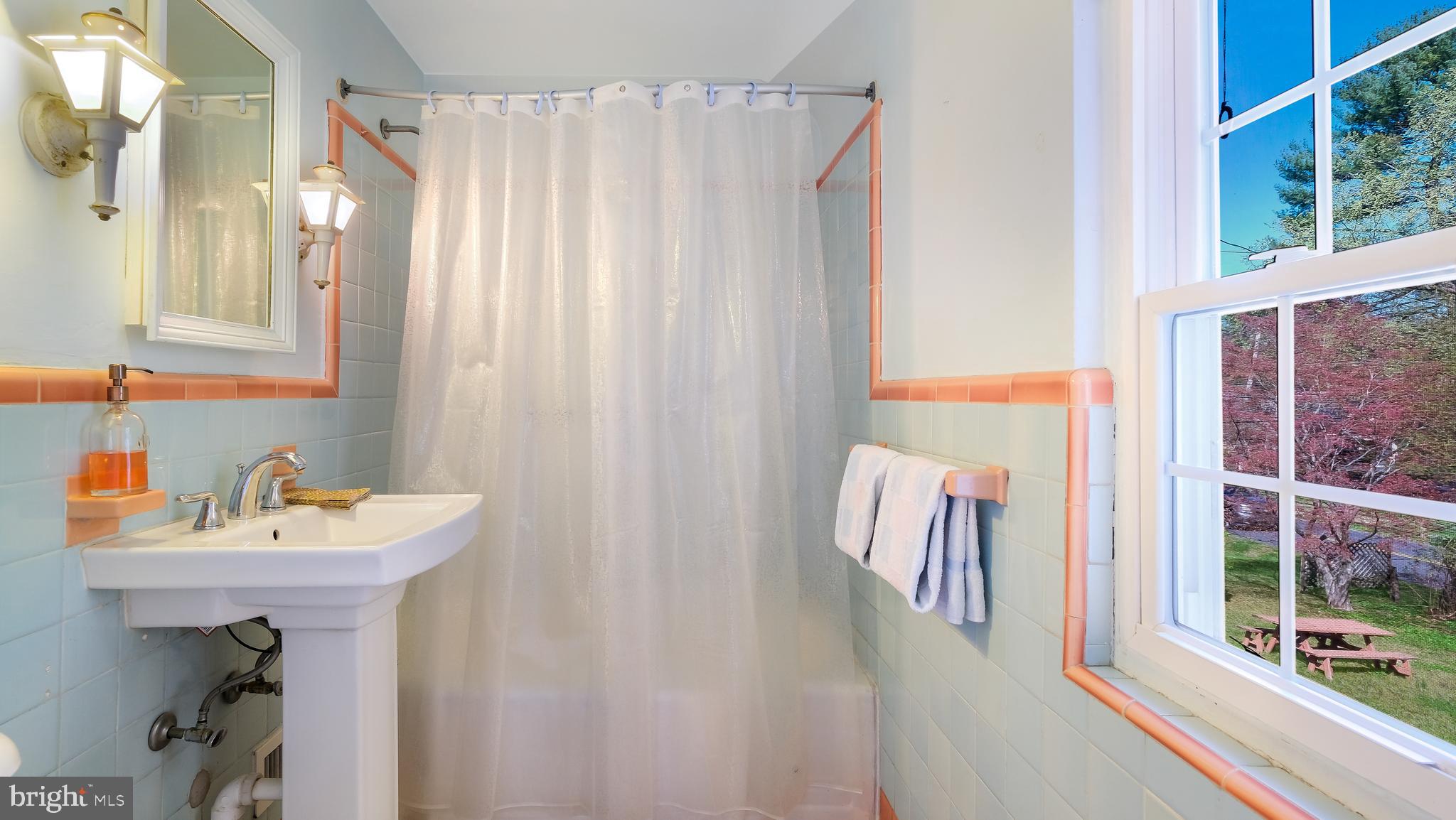 792 Dale Road Jenkintown, PA 19006 - Photo 19 of 27 a bathroom with a sink a mirror and a shower curtain