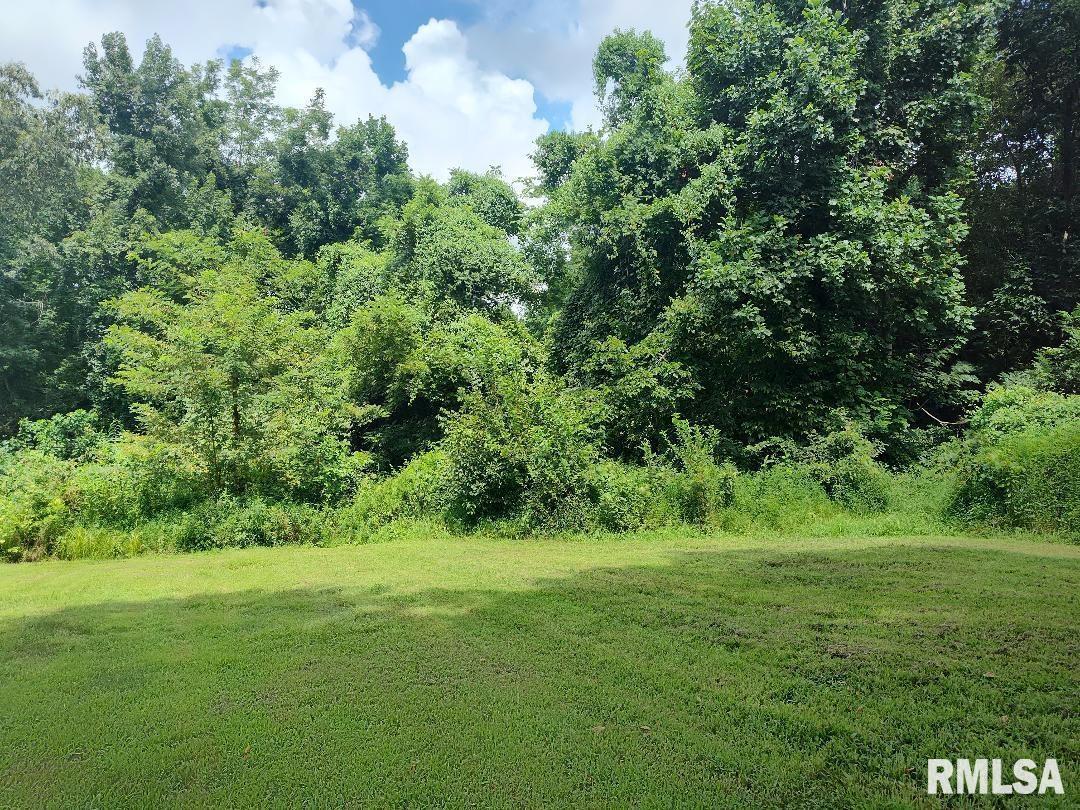 1599 Shiloh Road Villa Ridge, IL 62996 - Photo 7 of 17 a view of a grassy field with trees