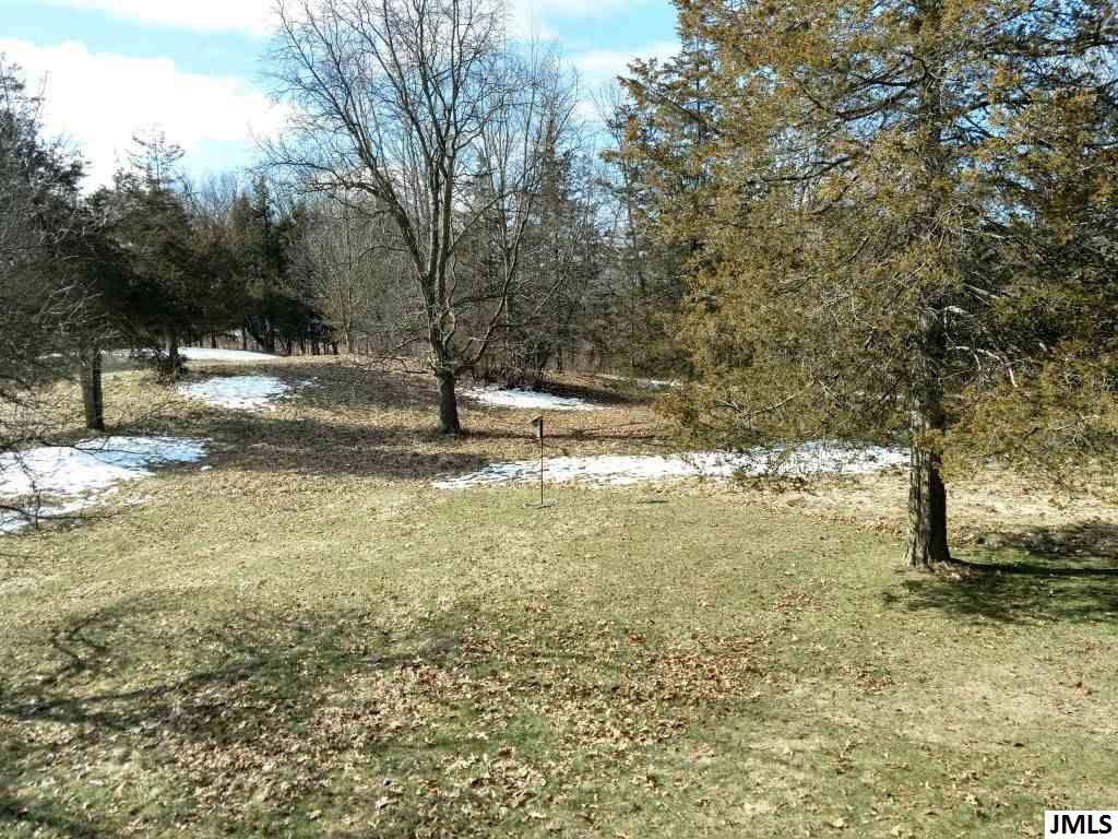 6990 Bowerman Road Horton, MI 49246 - Photo 20 of 36 Photo 20