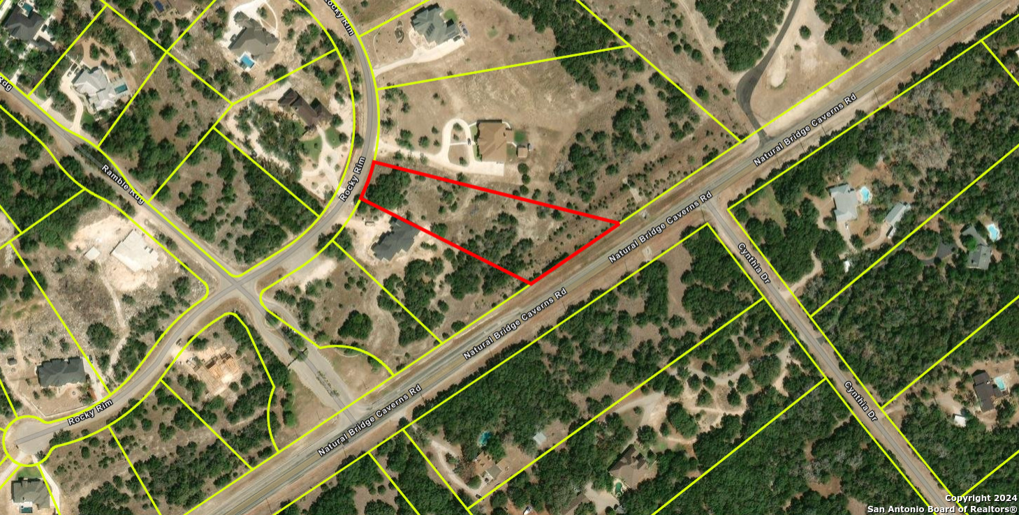 27010 Rocky Rim San Antonio, TX 78266 - Photo 13 of 13 a black and white photo of a plant