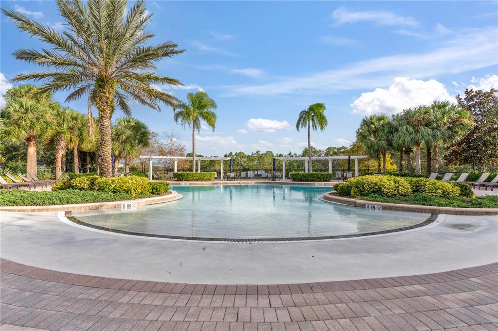 1205 Butterfly Orchid Road Davenport, FL 33837 - Photo 60 of 69 a view of outdoor space yard and swimming pool