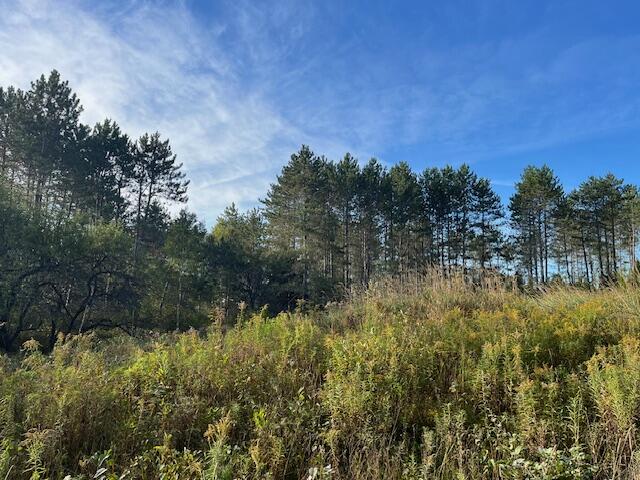 249 Madawaska Road New Sweden, ME 04762 - Photo 5 of 17 249 Madawaska Rd New Sweden