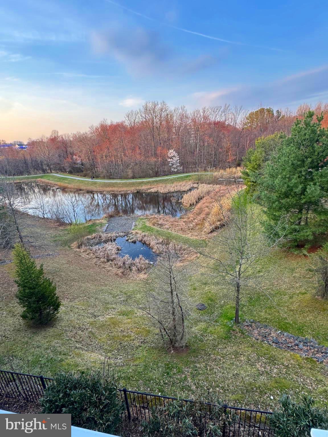 7769 Tilghman Street Fulton, MD 20759 - Photo 51 of 71 Serene pond amidst lush greenery.