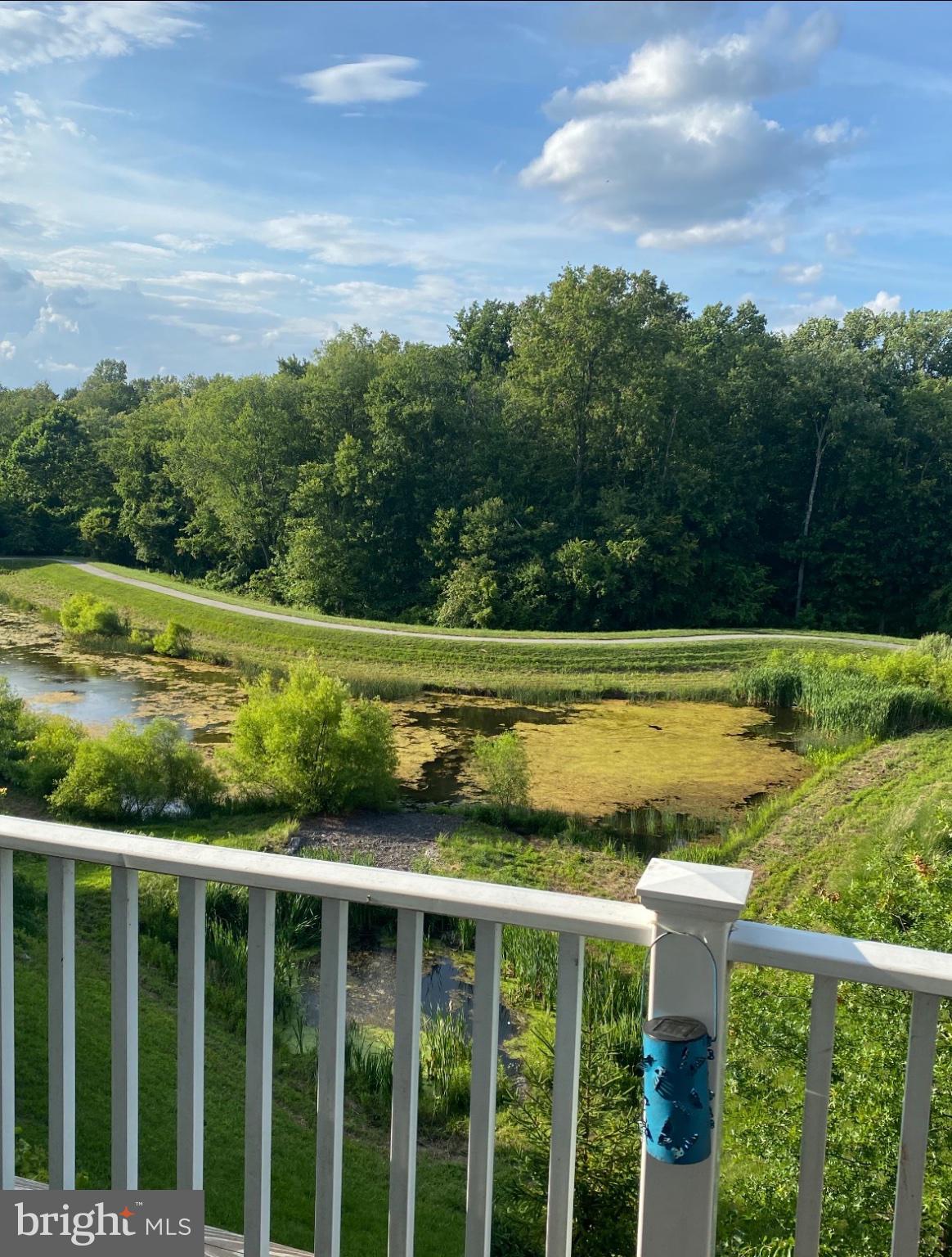 7769 Tilghman Street Fulton, MD 20759 - Photo 56 of 71 Serene view of lush greenery and water.