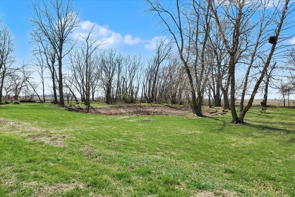 a backyard of a house with yard and tree