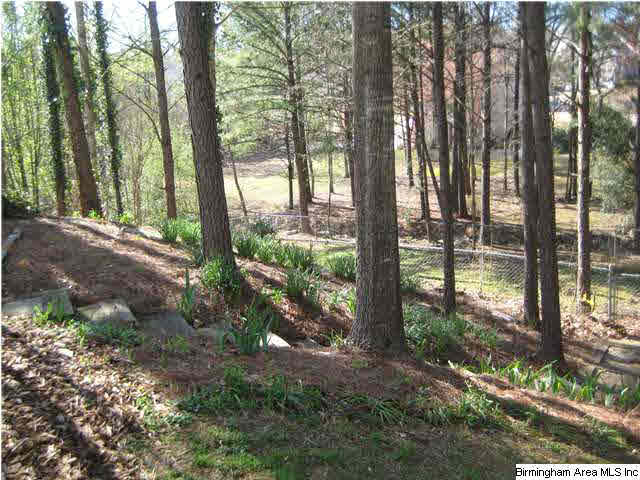 232 South Trace Lane Birmingham, AL 35244 - Photo 11 of 27