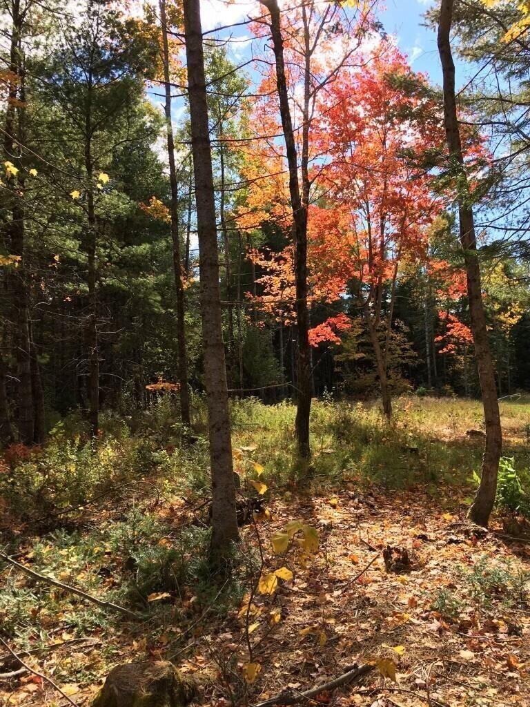 514 Main Road Charleston, ME 04422 - Photo 5 of 14 06