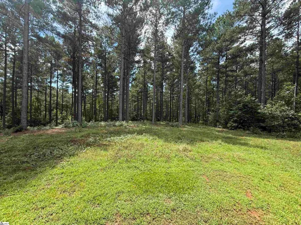 $135,000 | 0 High Pines Drive, Unit LOT 4, Salem, SC 29676
