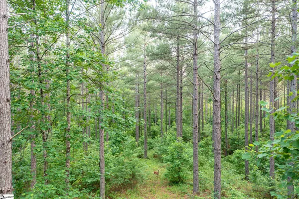 $135,000 | 0 High Pines Drive, Unit LOT 4, Salem, SC 29676