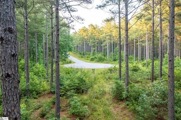 $135,000 | 0 High Pines Drive, Unit LOT 4, Salem, SC 29676