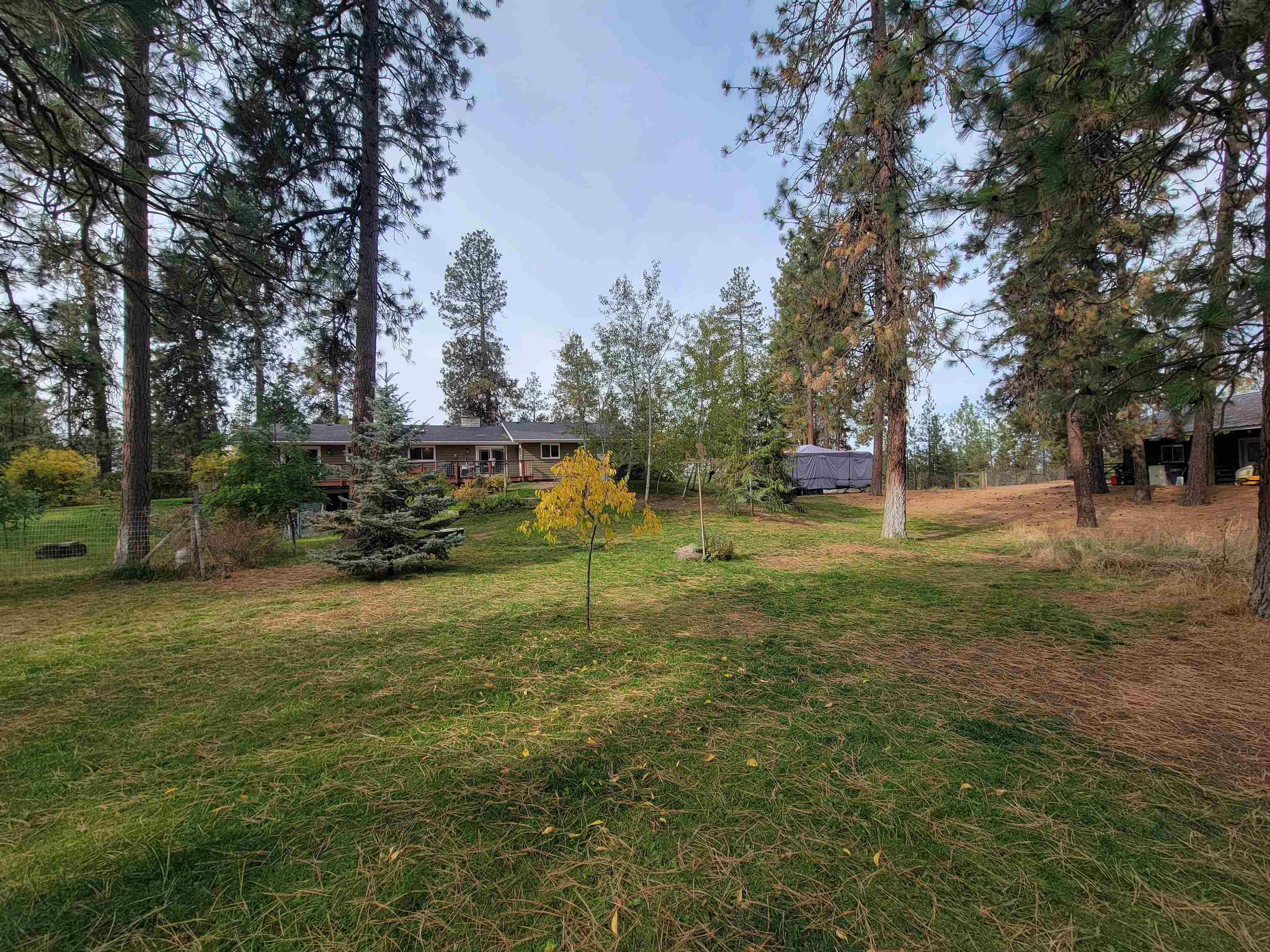 1423 South Pulpwood Road Medical Lake, WA 99022 - Photo 41 of 48