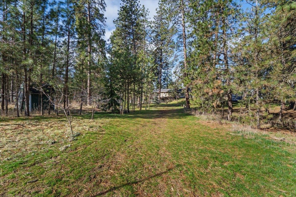 1423 South Pulpwood Road Medical Lake, WA 99022 - Photo 45 of 48