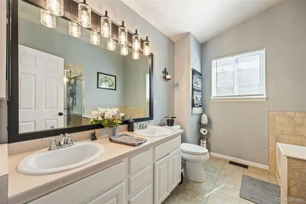 a bathroom with a double vanity sink toilet and a mirror