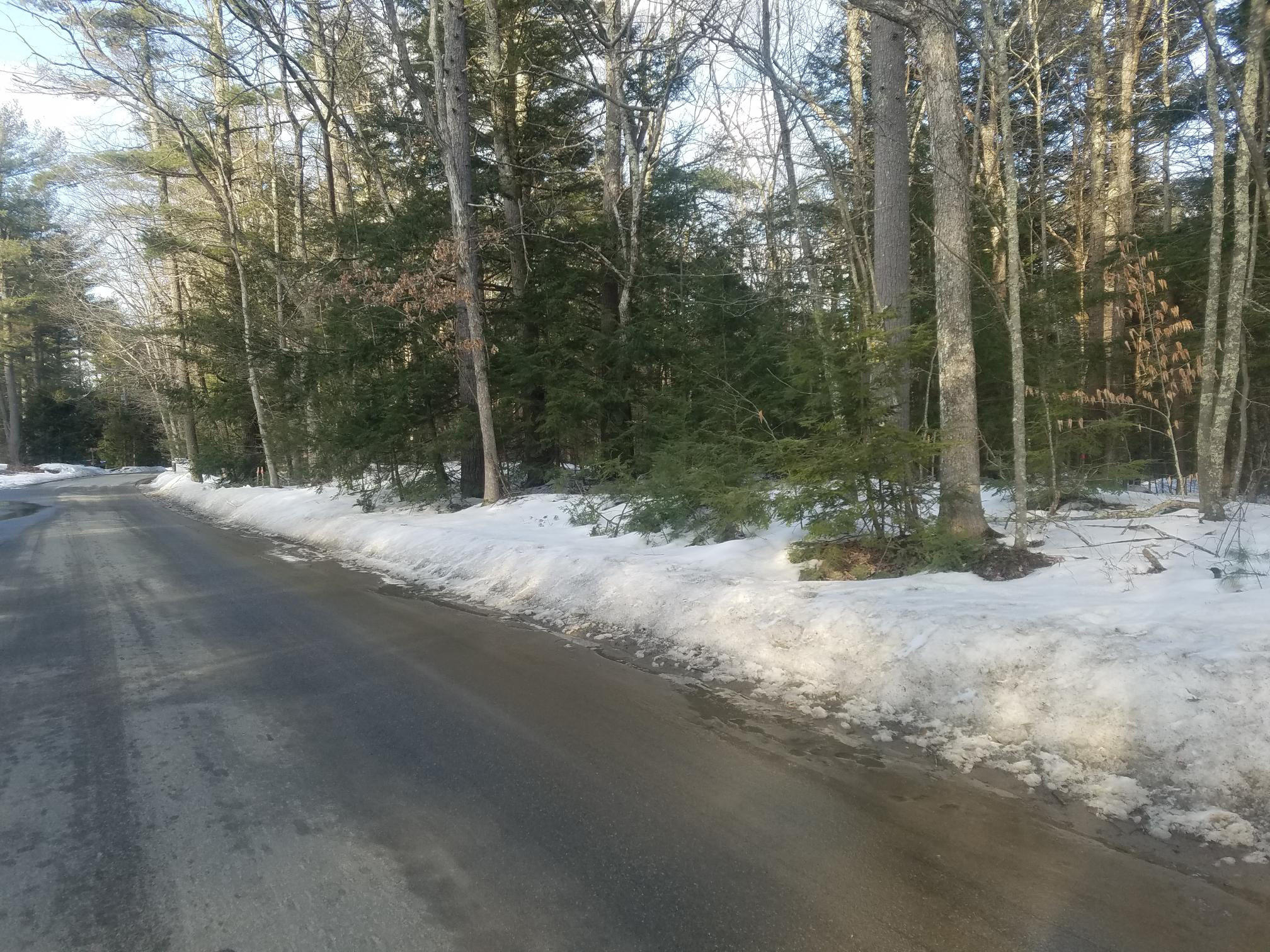 Lot 7 Bell Marsh Road York, ME 03909 - Photo 6 of 18 1