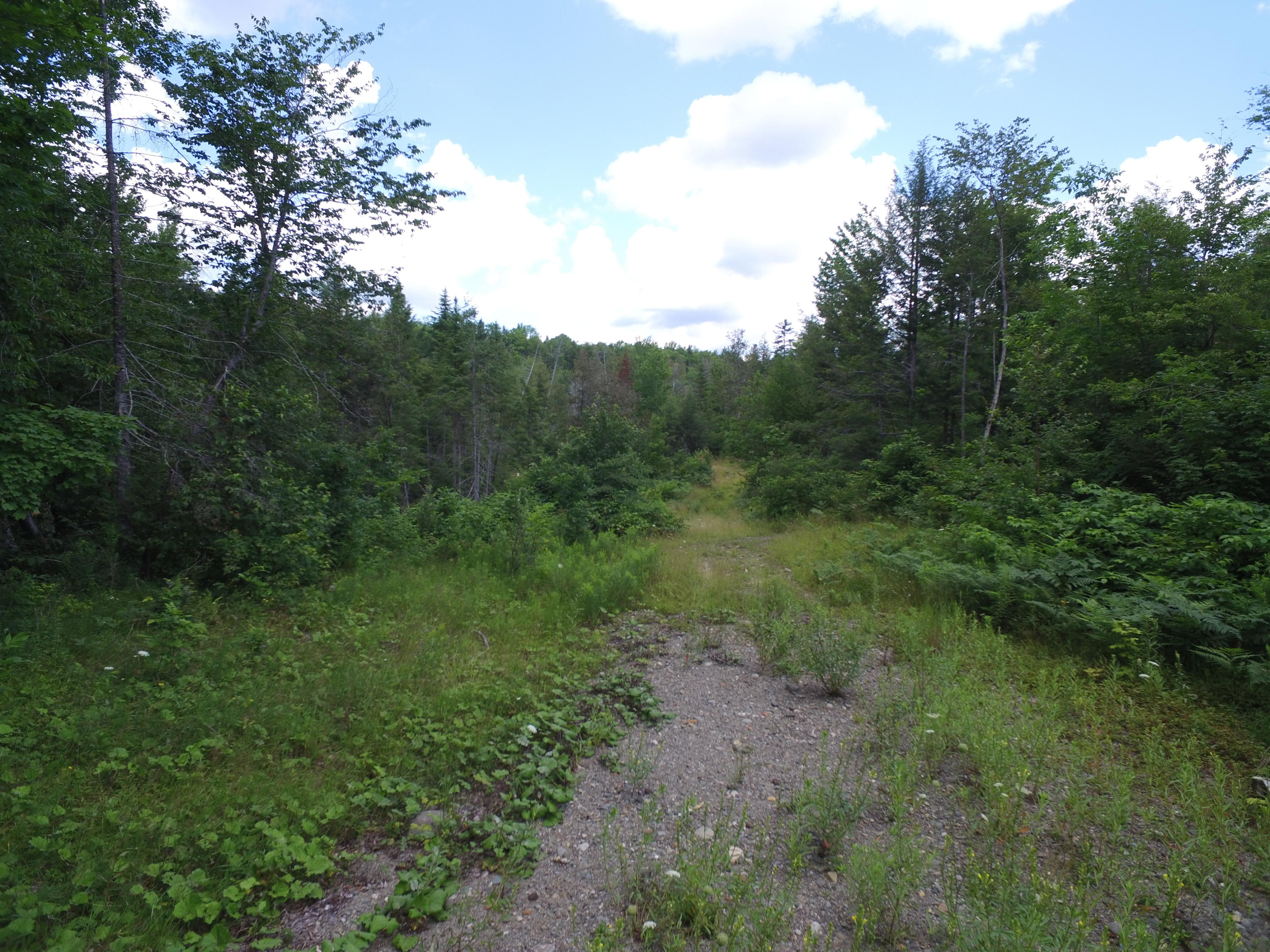 Lot 2 Maxwell Road Lee, ME 04455 - Photo 1 of 11 DJI_0137