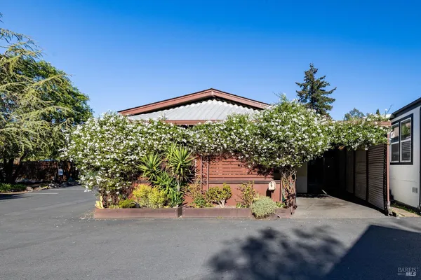 a view of a house with a tree and a yard