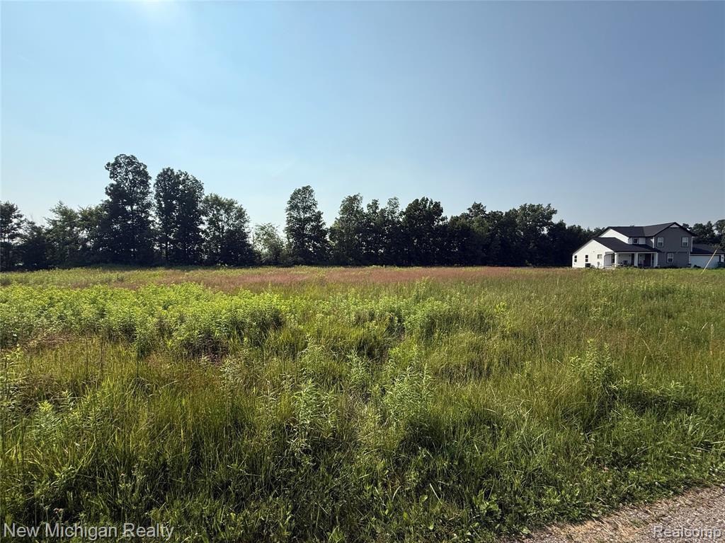 9807 Oak Ridge Road New Lothrop, MI 48460 - Photo 8 of 10