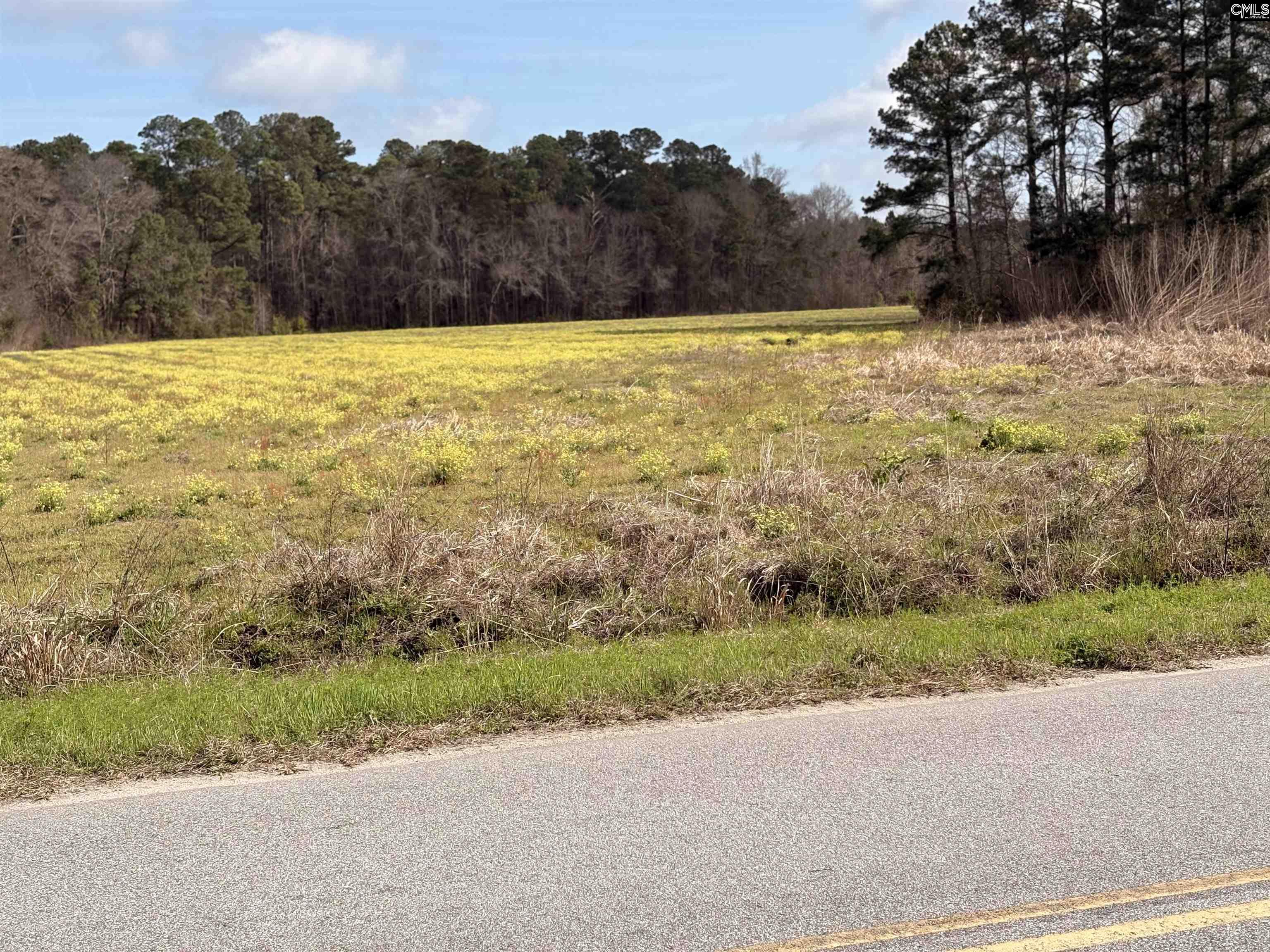 0 Bryant Road Reevesville, SC 29471 - Photo 6 of 7