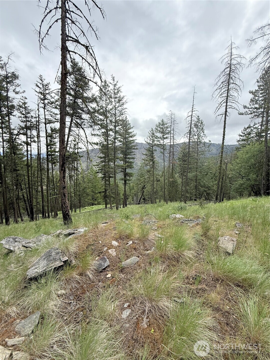 0 Broken Spoke Road Tonasket, WA 98855 - Photo 30 of 39 a view of a yard with a tree