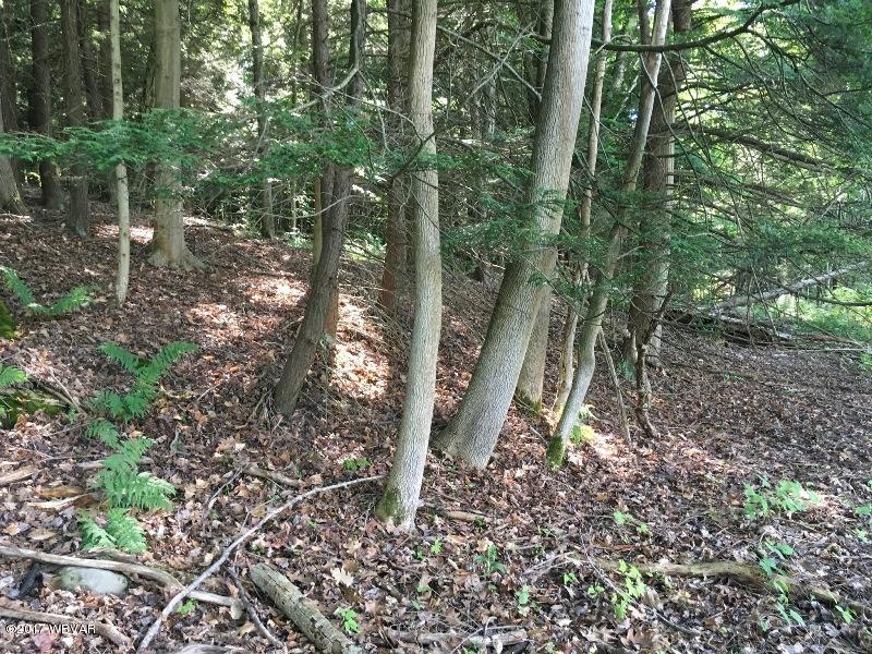 11163 49th Route Lawrenceville, PA 16929 - Photo 20 of 31 H-Land (1)