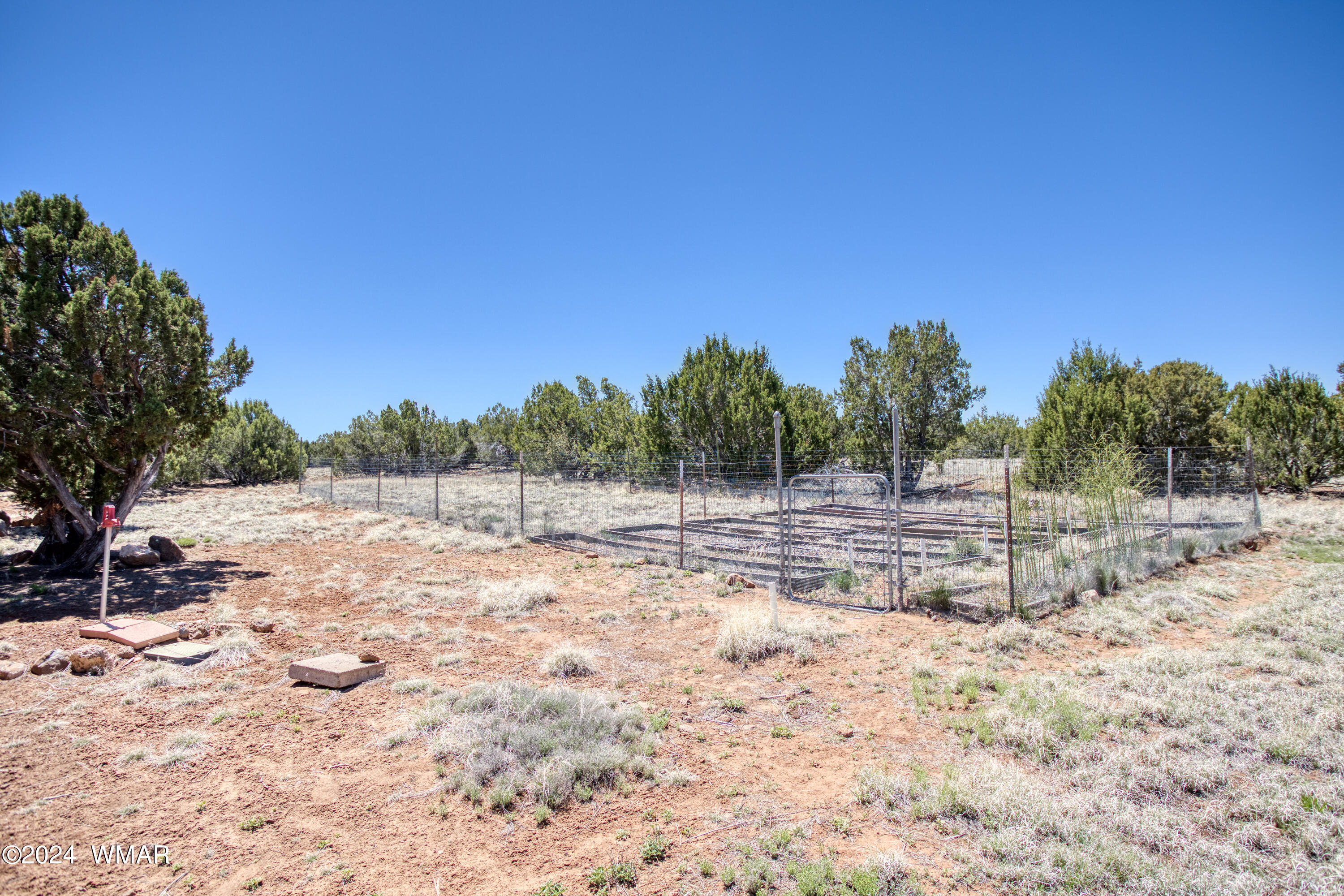 217 County Road Concho, AZ 85924 - Photo 24 of 29