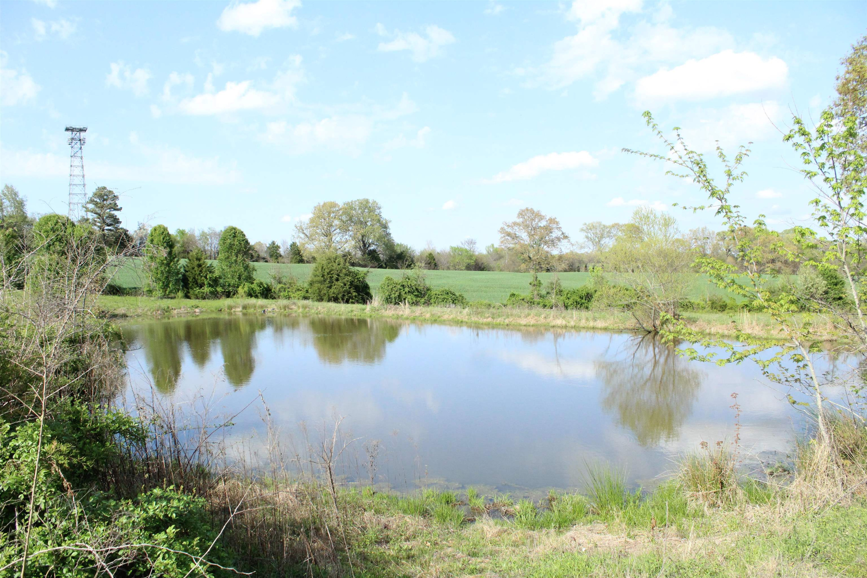 195 Old Jackson Road Trenton, TN 38382 - Photo 6 of 11 a view of a lake with a yard and trees