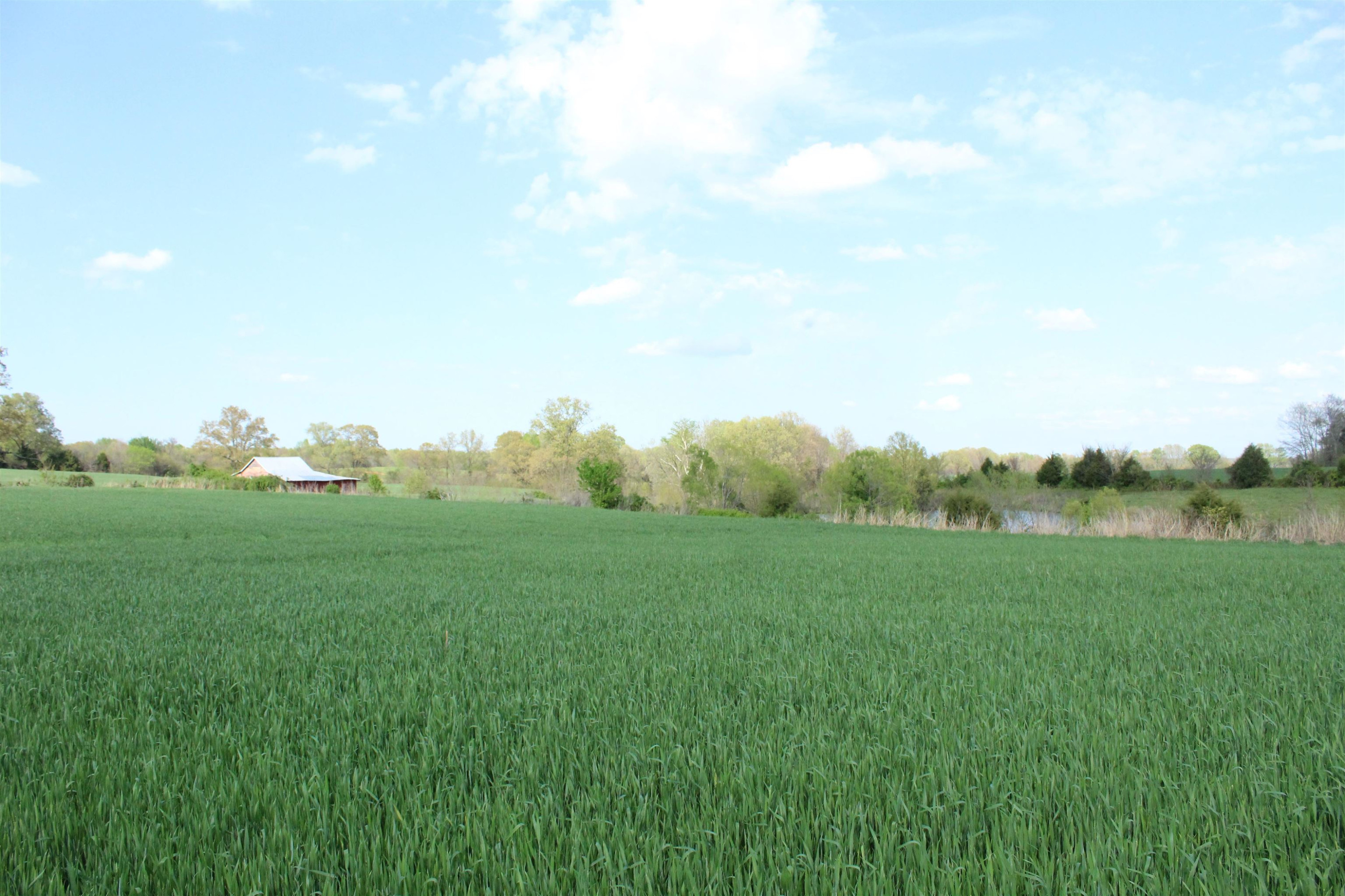 195 Old Jackson Road Trenton, TN 38382 - Photo 7 of 11