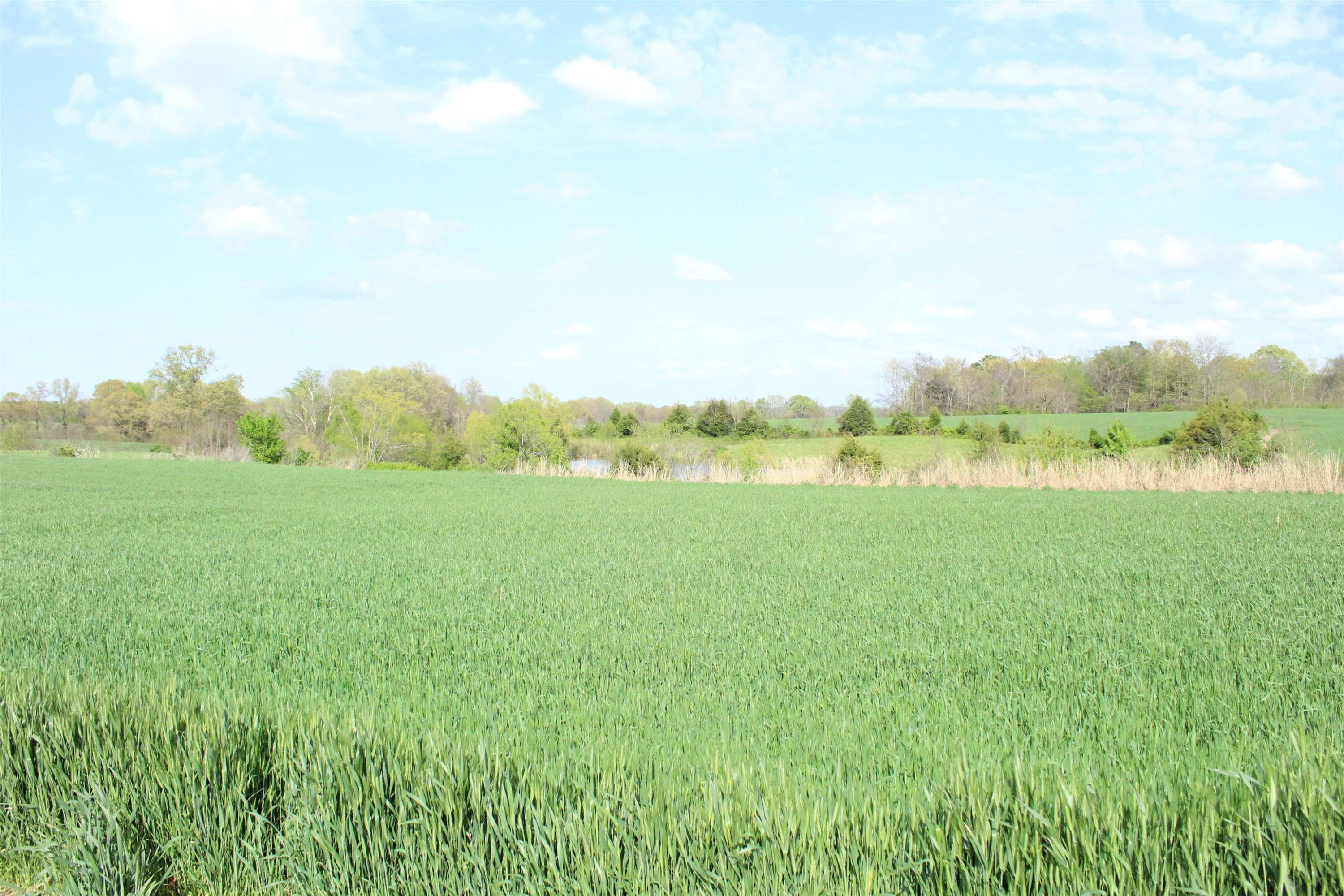 195 Old Jackson Road Trenton, TN 38382 - Photo 8 of 11 a view of a lake with houses in the back