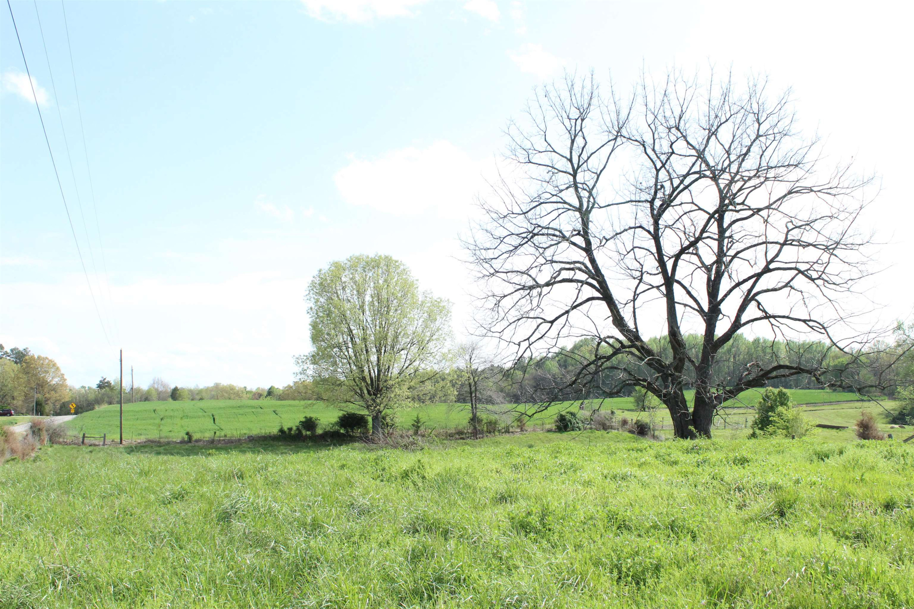 195 Old Jackson Road Trenton, TN 38382 - Photo 10 of 11 a view of a lush green space