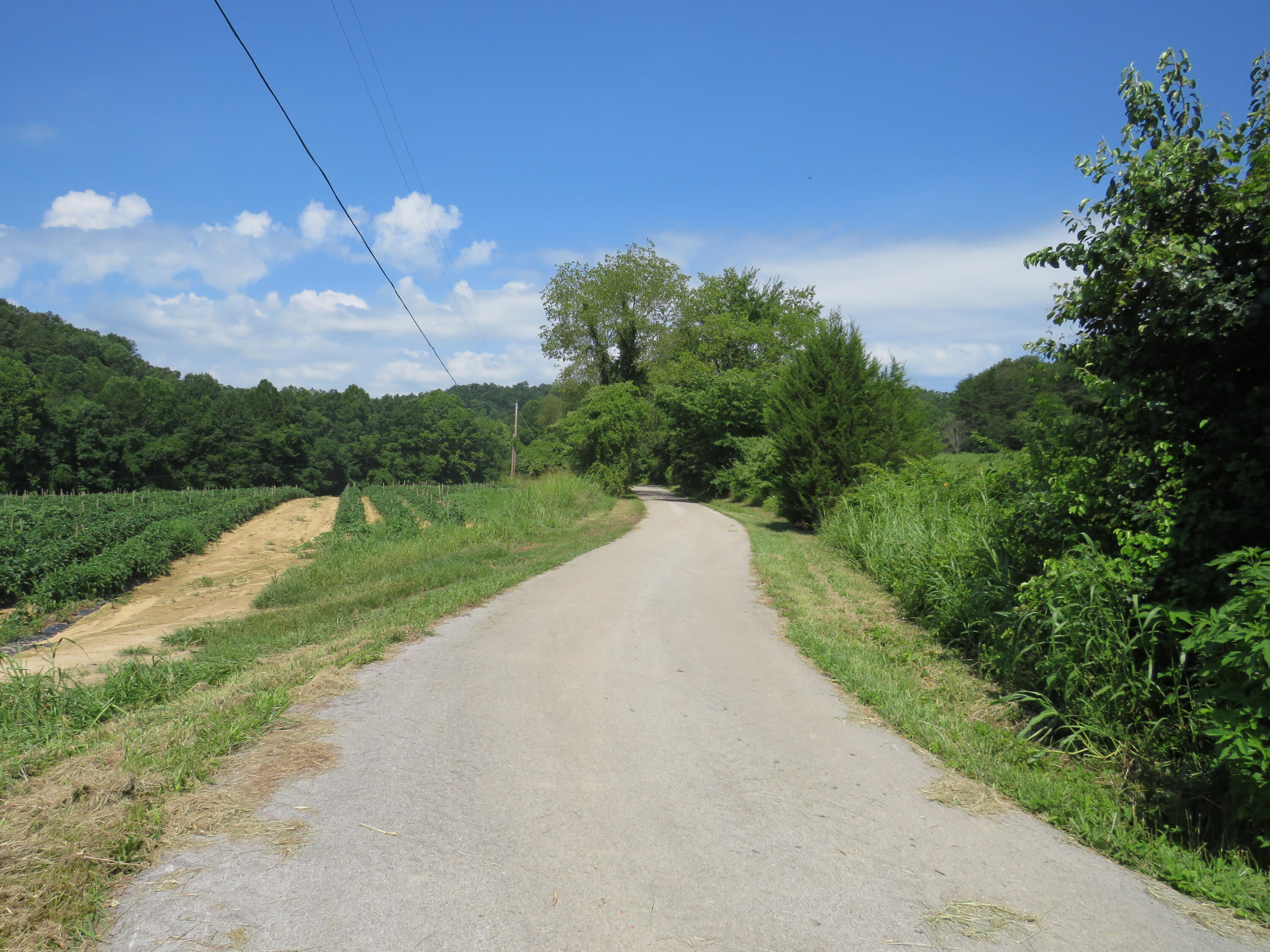 504 Nantz Road London, KY 40741 - Photo 20 of 60 IMG_5034