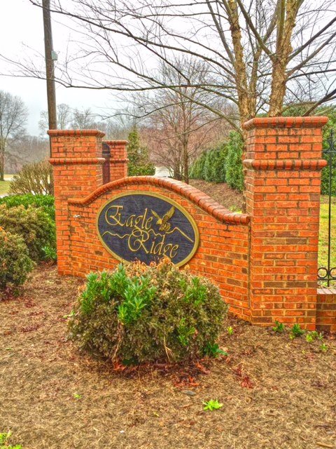Lot 10 Eagle Ridge Drive Chesnee, SC 29323 - Photo 3 of 3