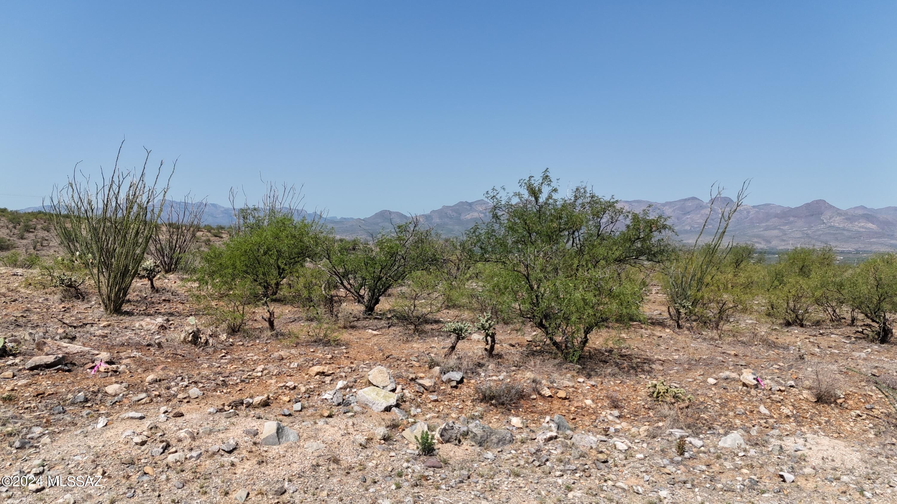 1755 Calle Playa, Unit 61 Rio Rico, AZ 85648 - Photo 1 of 19