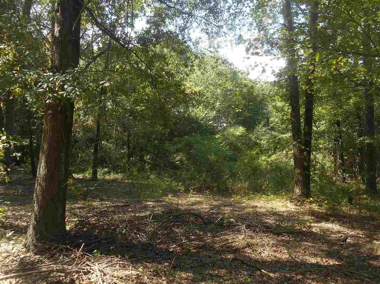 100 Millden Hall Road Anderson, SC 29625 - Photo 1 of 1 Gallery Image 1