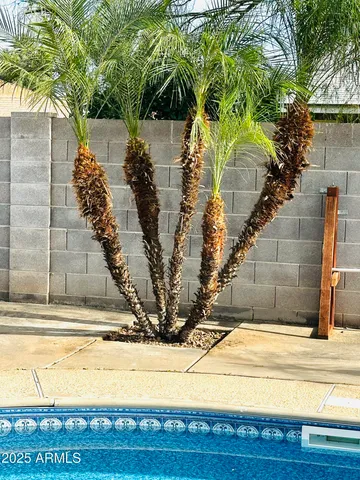 a backyard of a house