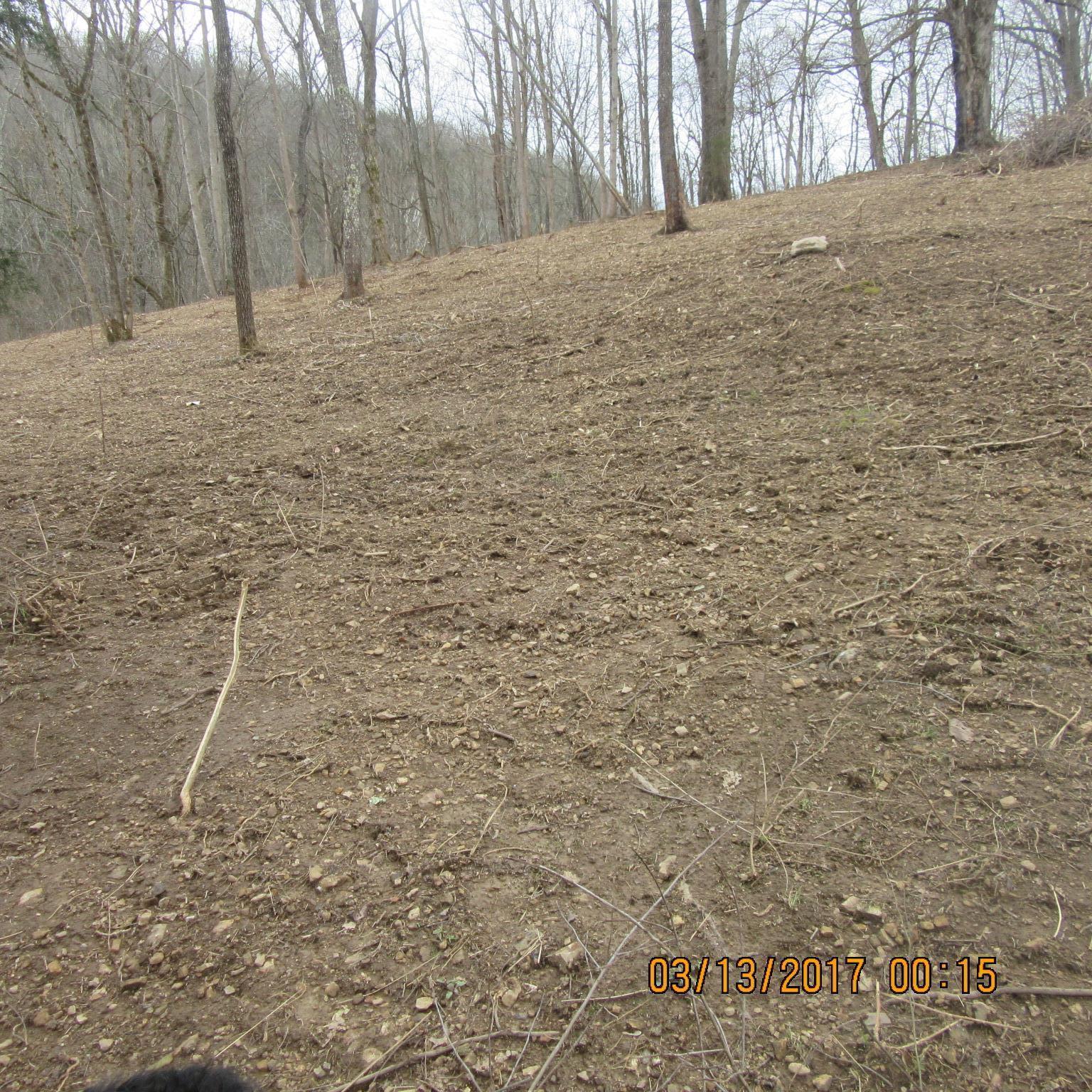 0 Sycamore Road Woodbury, TN 37190 - Photo 1 of 12