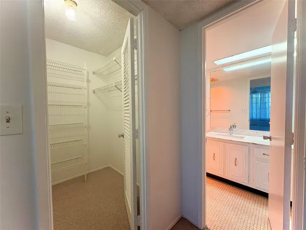 a bathroom with a shower and a sink
