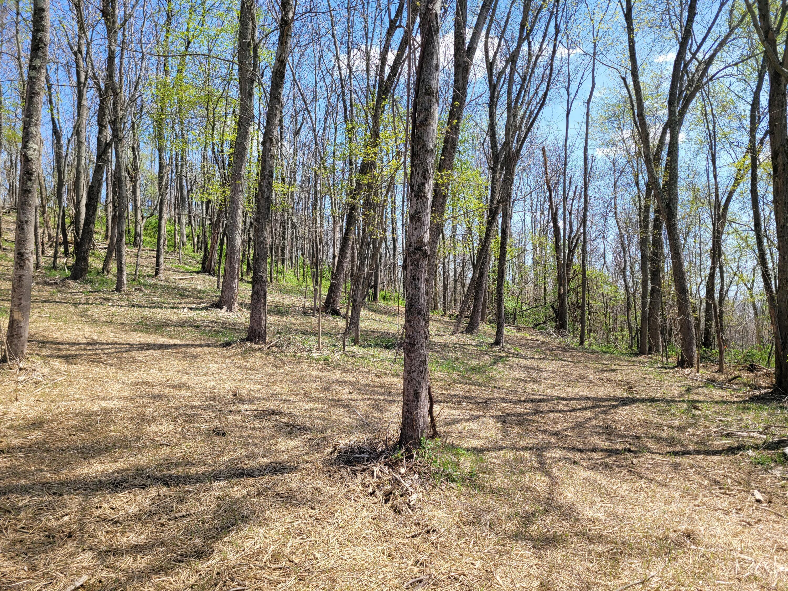 8700 Hoop Pole Road Roseville, OH 43777 - Photo 9 of 46 20220424_120319