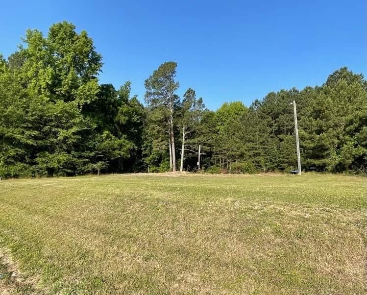 6905 Hodge Road Wendell, NC 27591 - Photo 1 of 3 Photo 1
