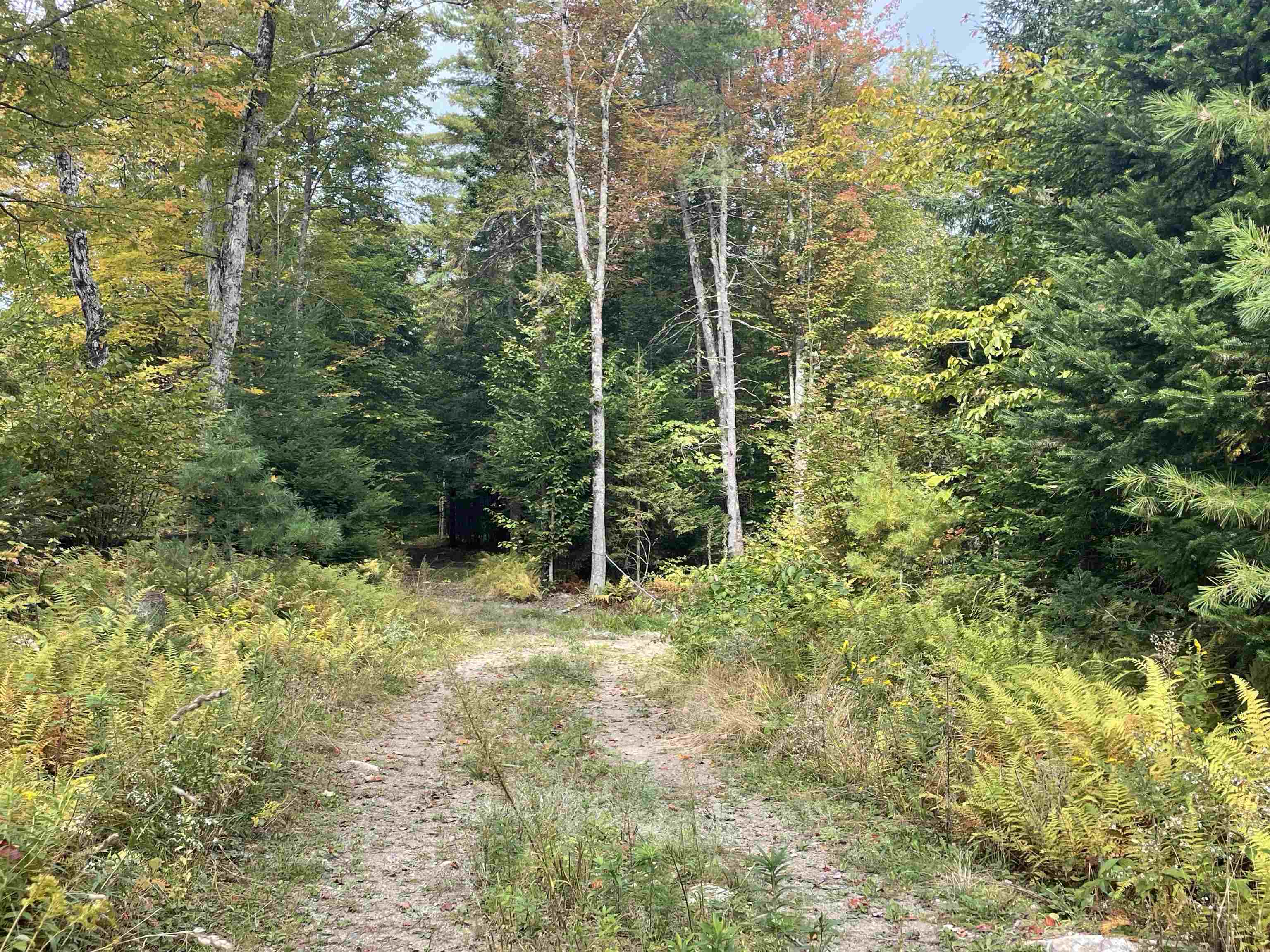 130 Stevens Road Woodbury, VT 05650 - Photo 3 of 20