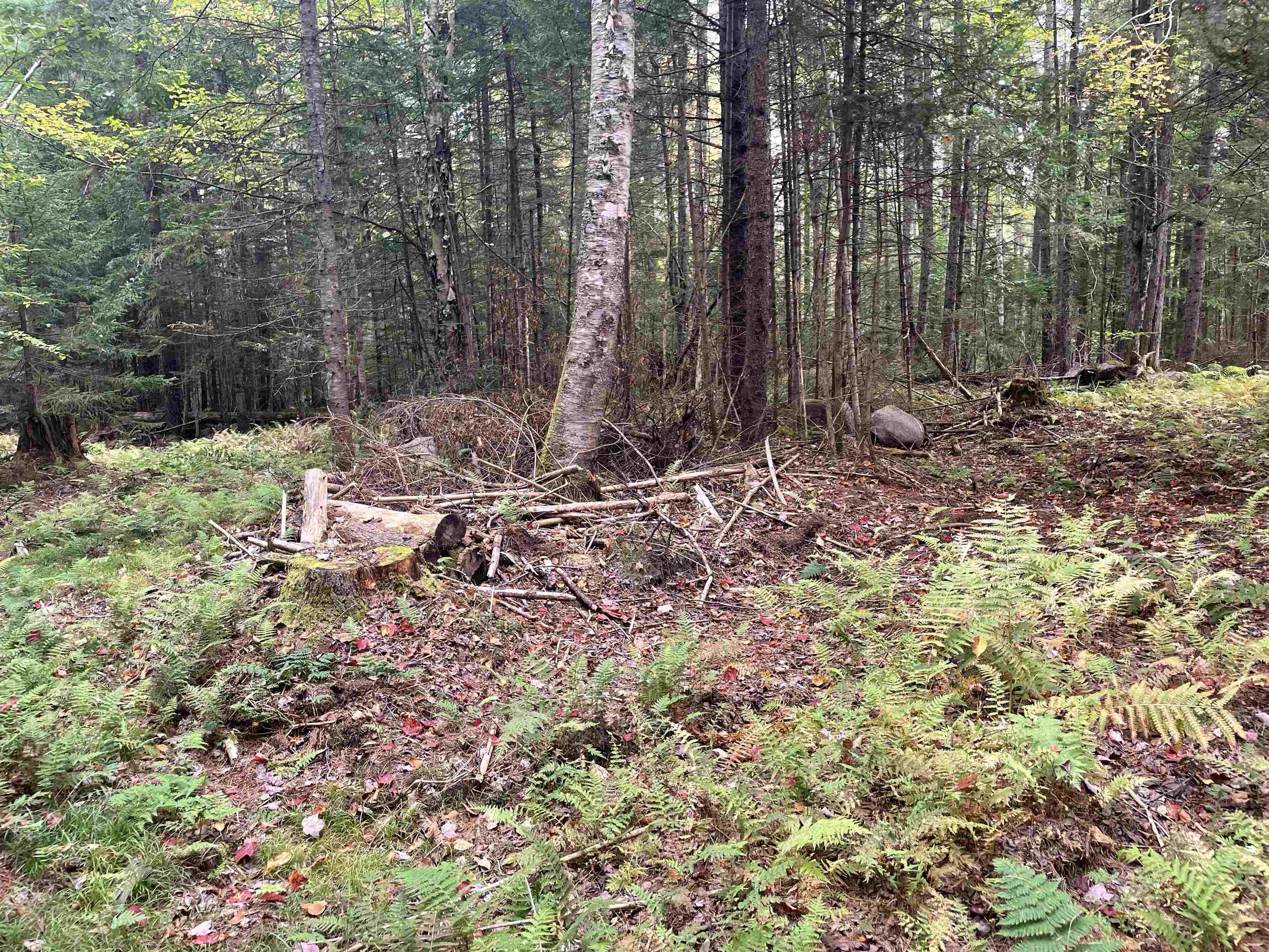 130 Stevens Road Woodbury, VT 05650 - Photo 6 of 20