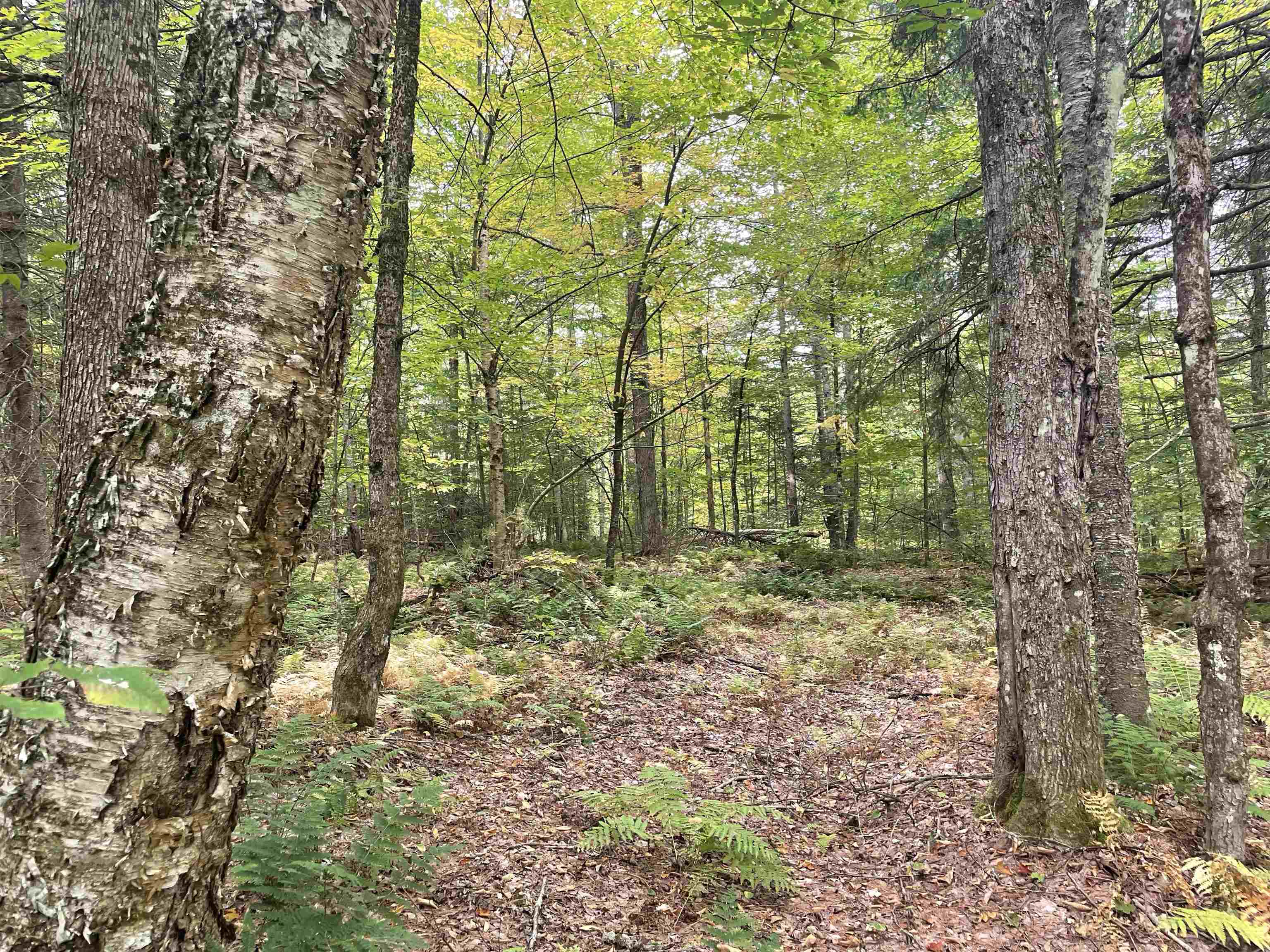 130 Stevens Road Woodbury, VT 05650 - Photo 9 of 20