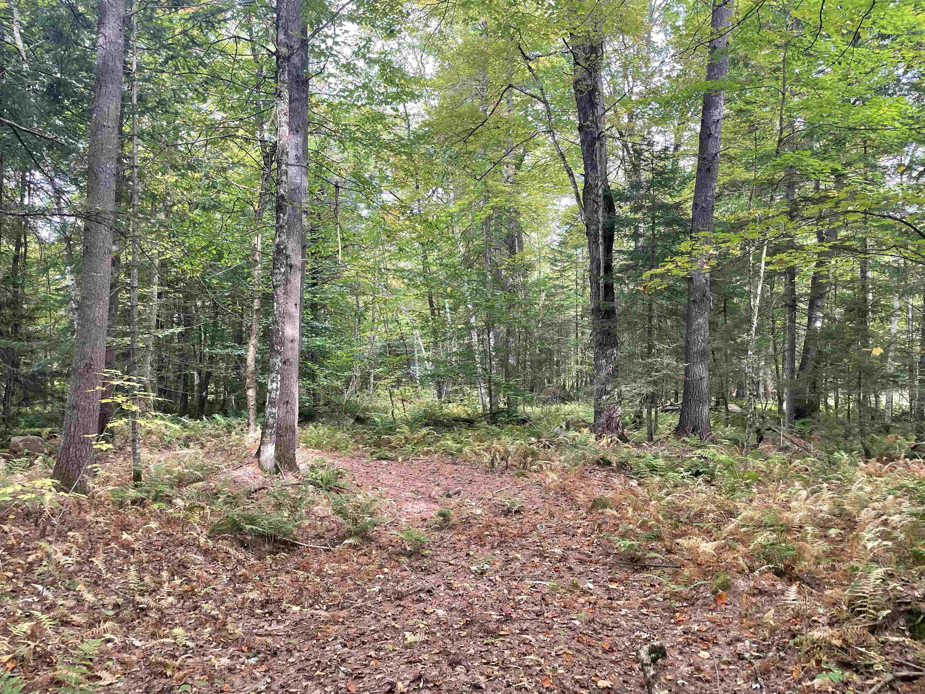 130 Stevens Road Woodbury, VT 05650 - Photo 10 of 20