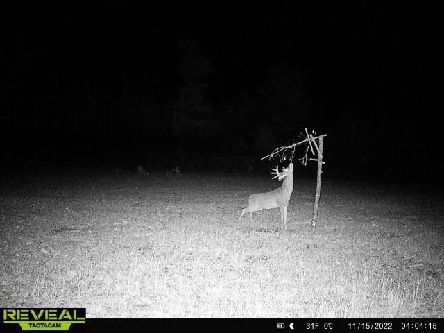 Lot 4 Grayling Tomah, WI 54660 - Photo 28 of 50