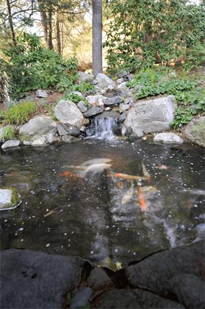 33 Moon Hill Road Lexington, MA 02421 - Photo 14 of 18