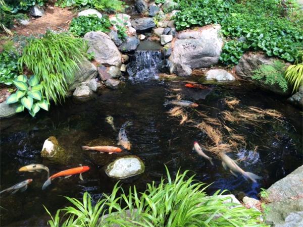 33 Moon Hill Road Lexington, MA 02421 - Photo 18 of 18