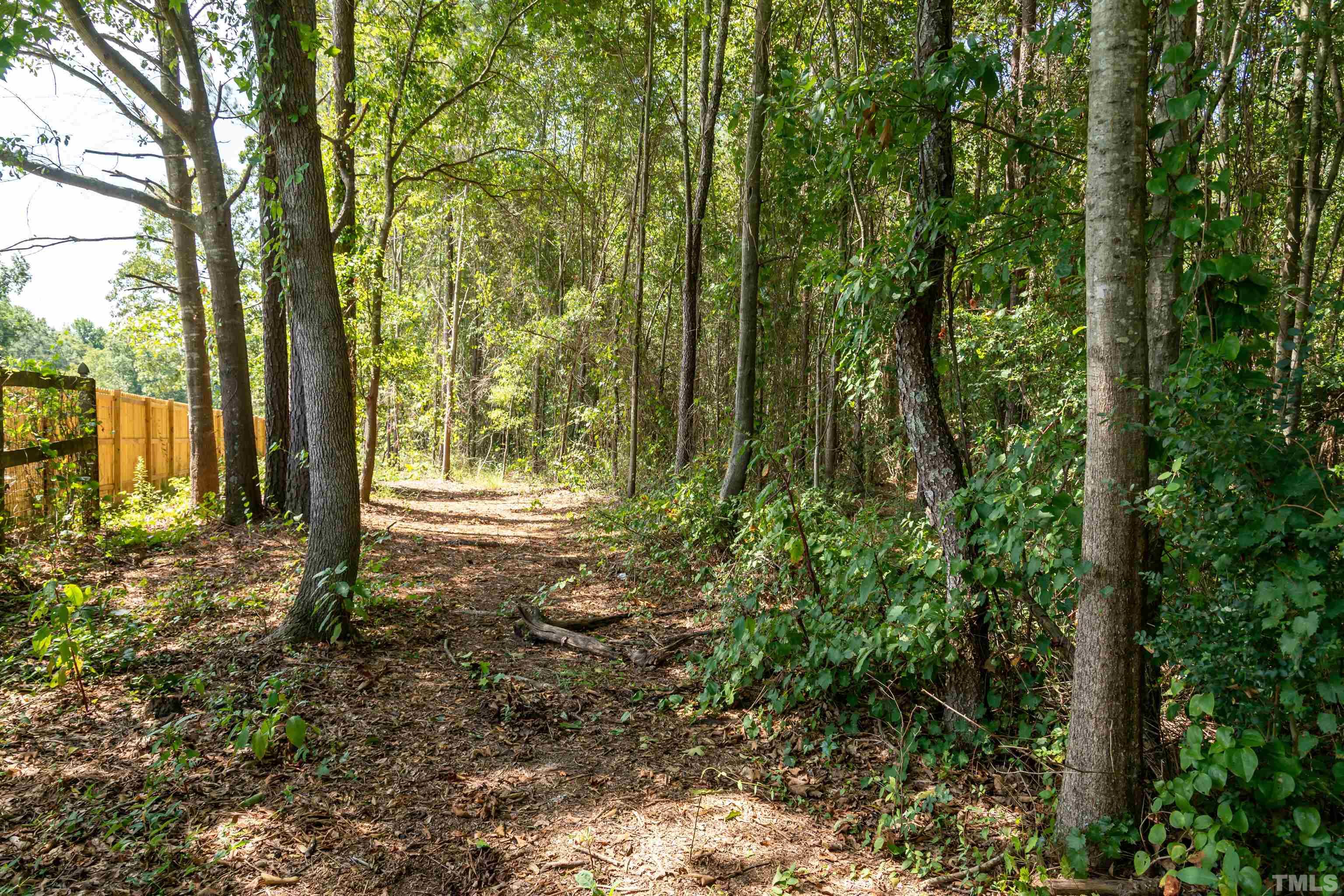 371 Godwin Road Benson, NC 27504 - Photo 50 of 58