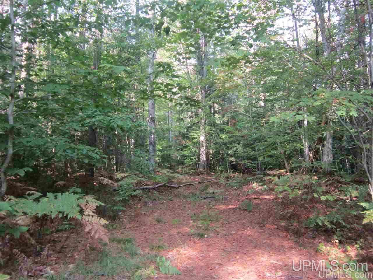 Tbd Off Co Rd 450 Road Seney, MI 49883 - Photo 2 of 13