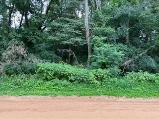 $100,000 | Tbd West Main Street, Independence, MN 55359